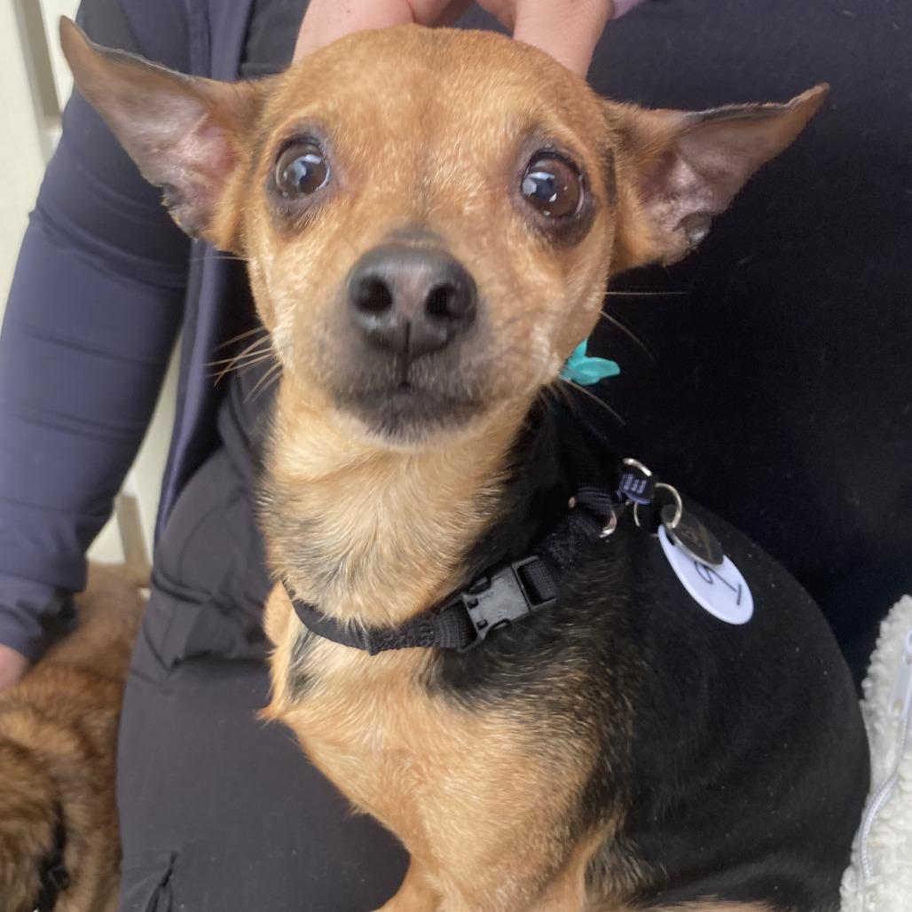 Cosmic — thumbnail 3