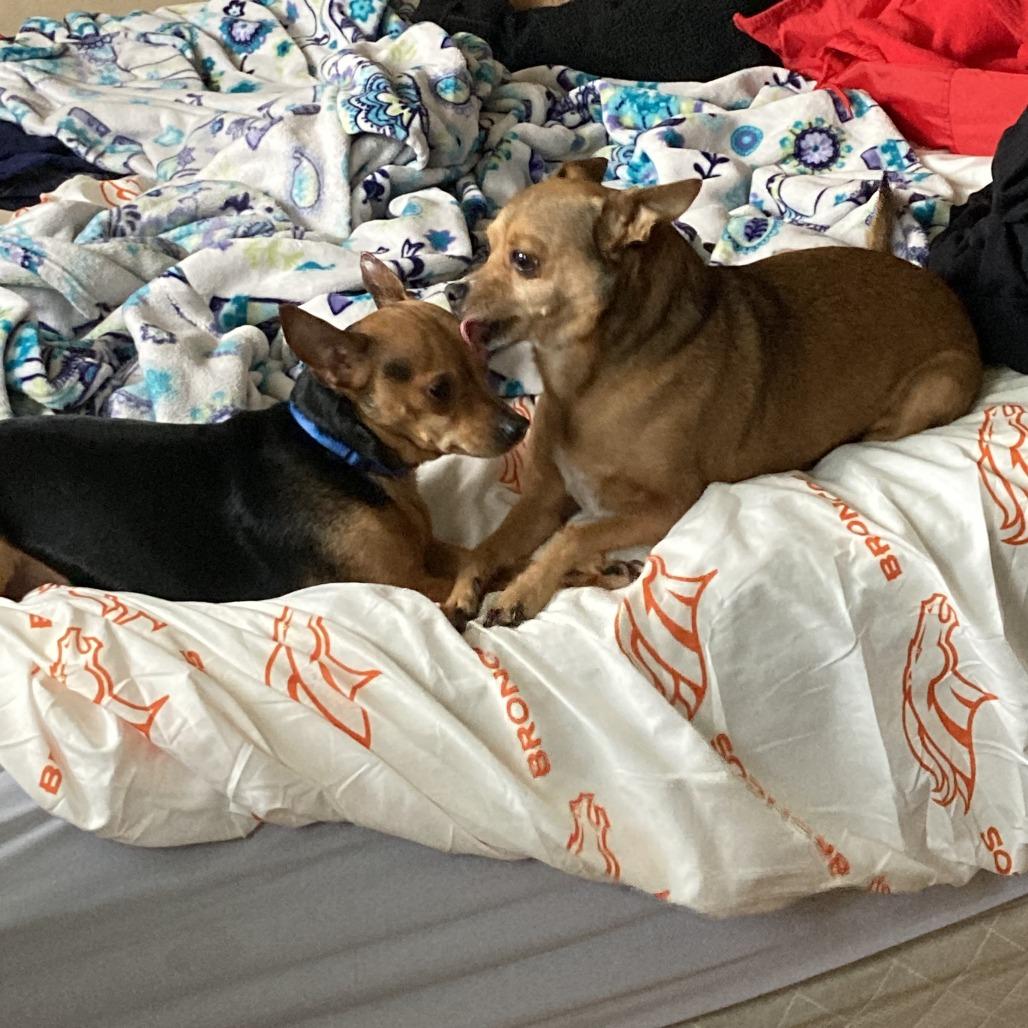 Cosmic — thumbnail 4