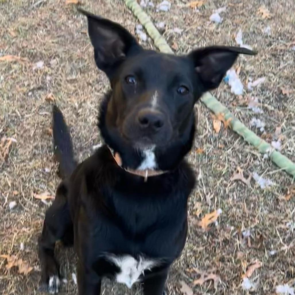 Arly (Arlington) JuM — thumbnail 2