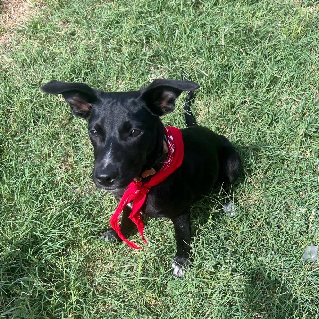 Arly (Arlington) JuM — thumbnail 4