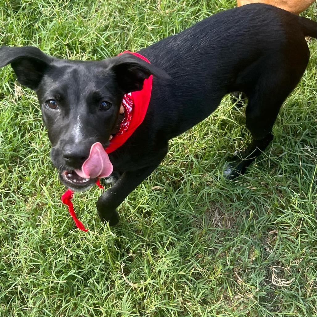 Arly (Arlington) JuM — thumbnail 5