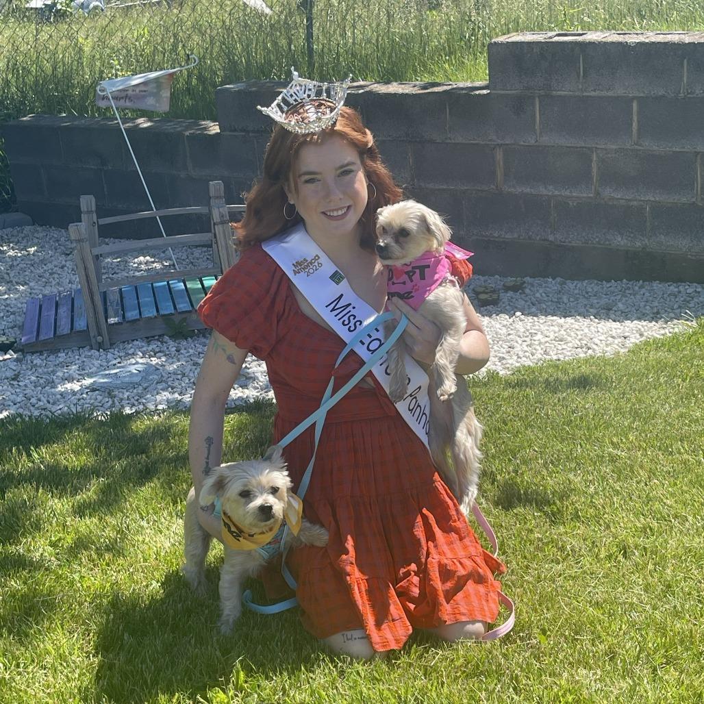 Enlarge Tally, a Adoptable Yorkshire Terrier in Martinsburg, WV image 4/5