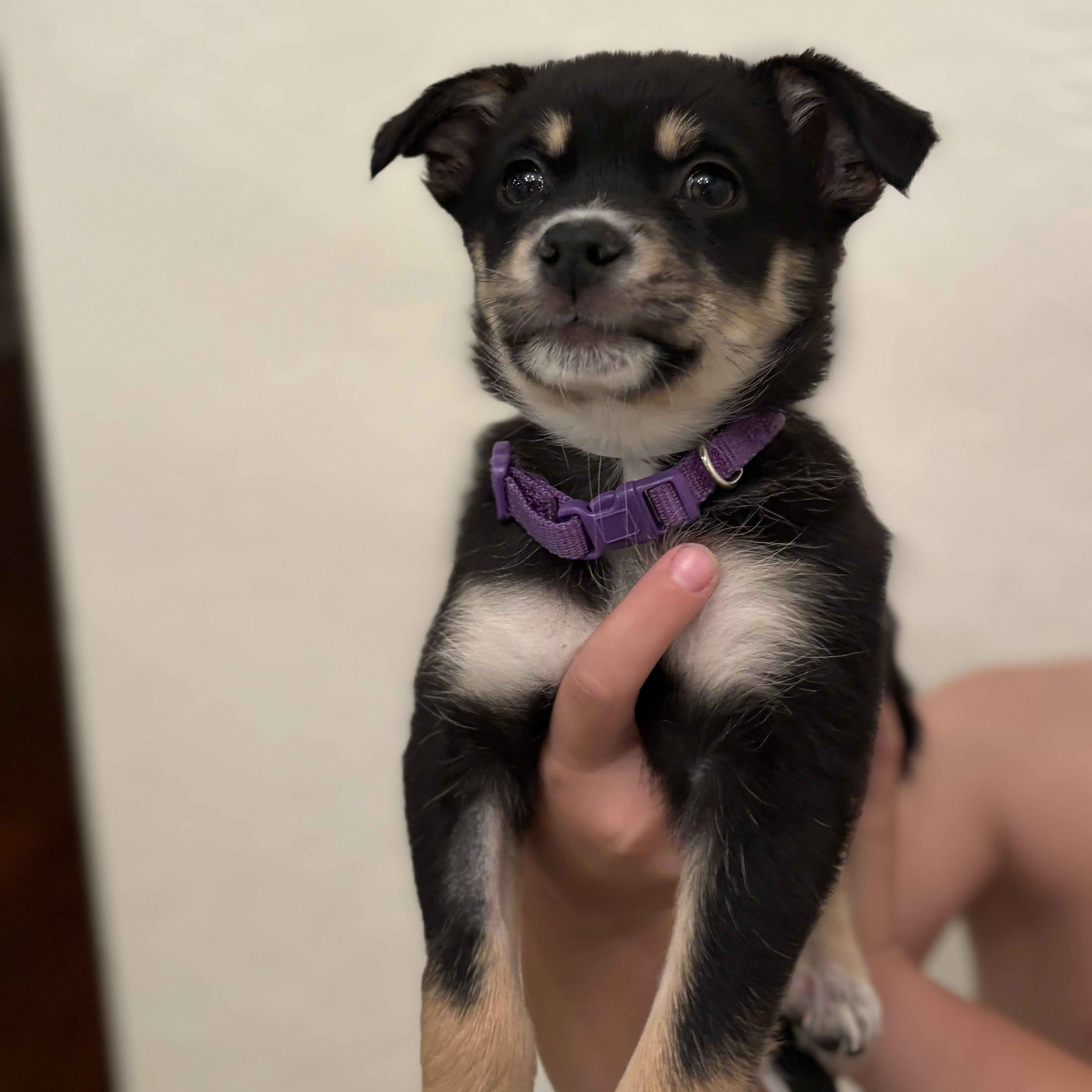 Wednesday thumbnail 2