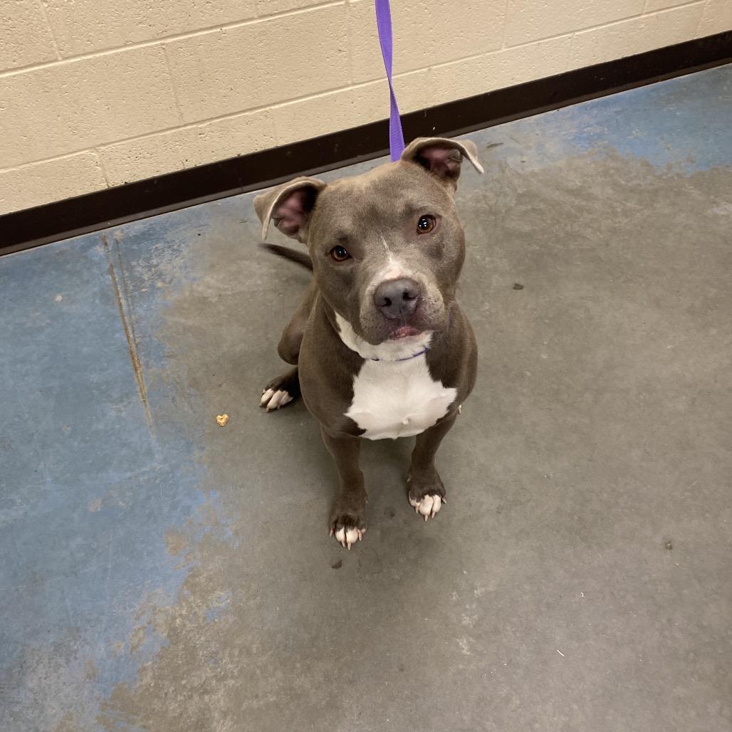 Ghost — thumbnail 2