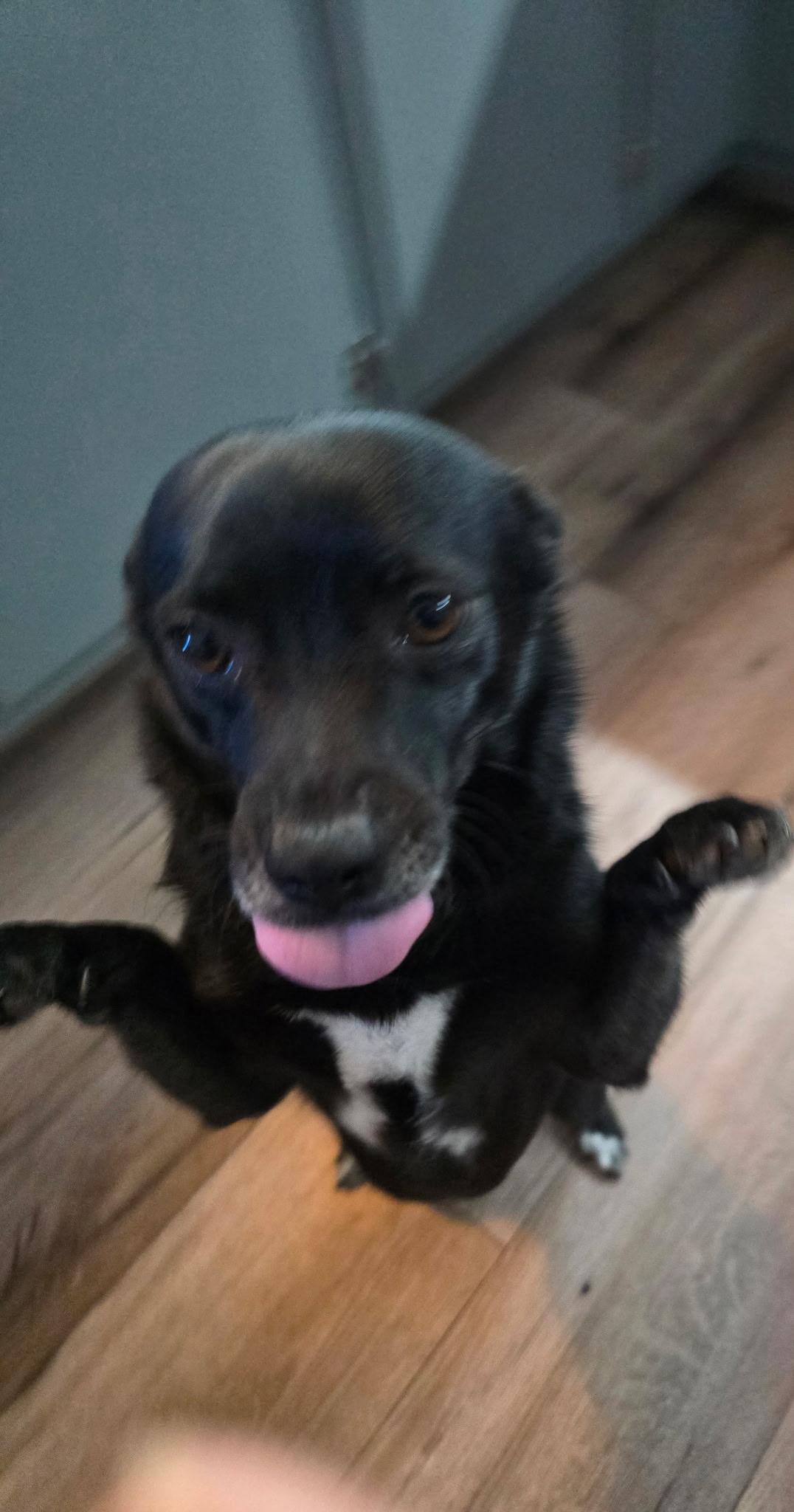 Mordecai 0125 — thumbnail 4