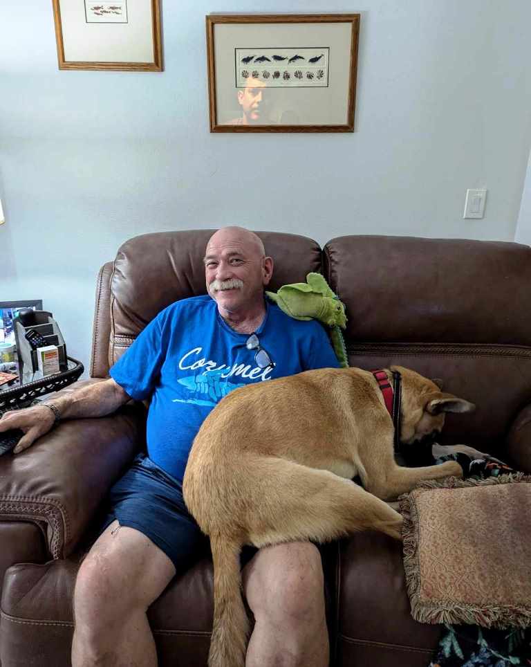 Enlarge Remi, a Adopted mixed breed in Baytown, TX image 5/6