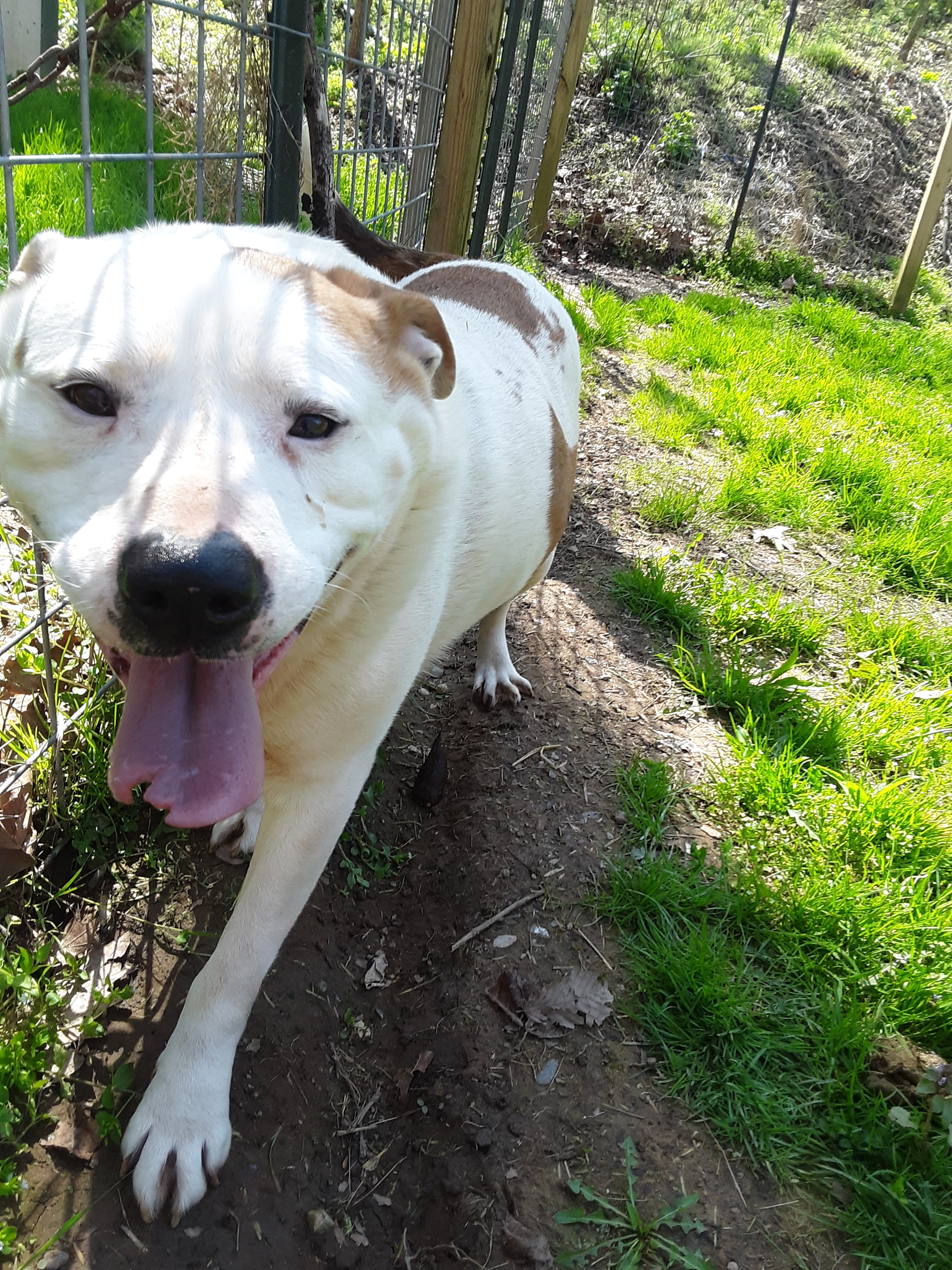 Zeke photo 4
