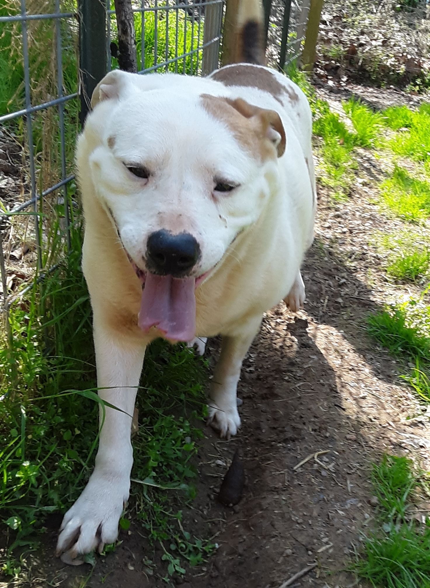 Zeke photo 2
