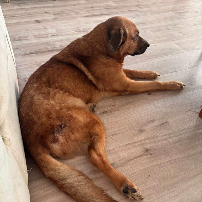 Conway — thumbnail 5