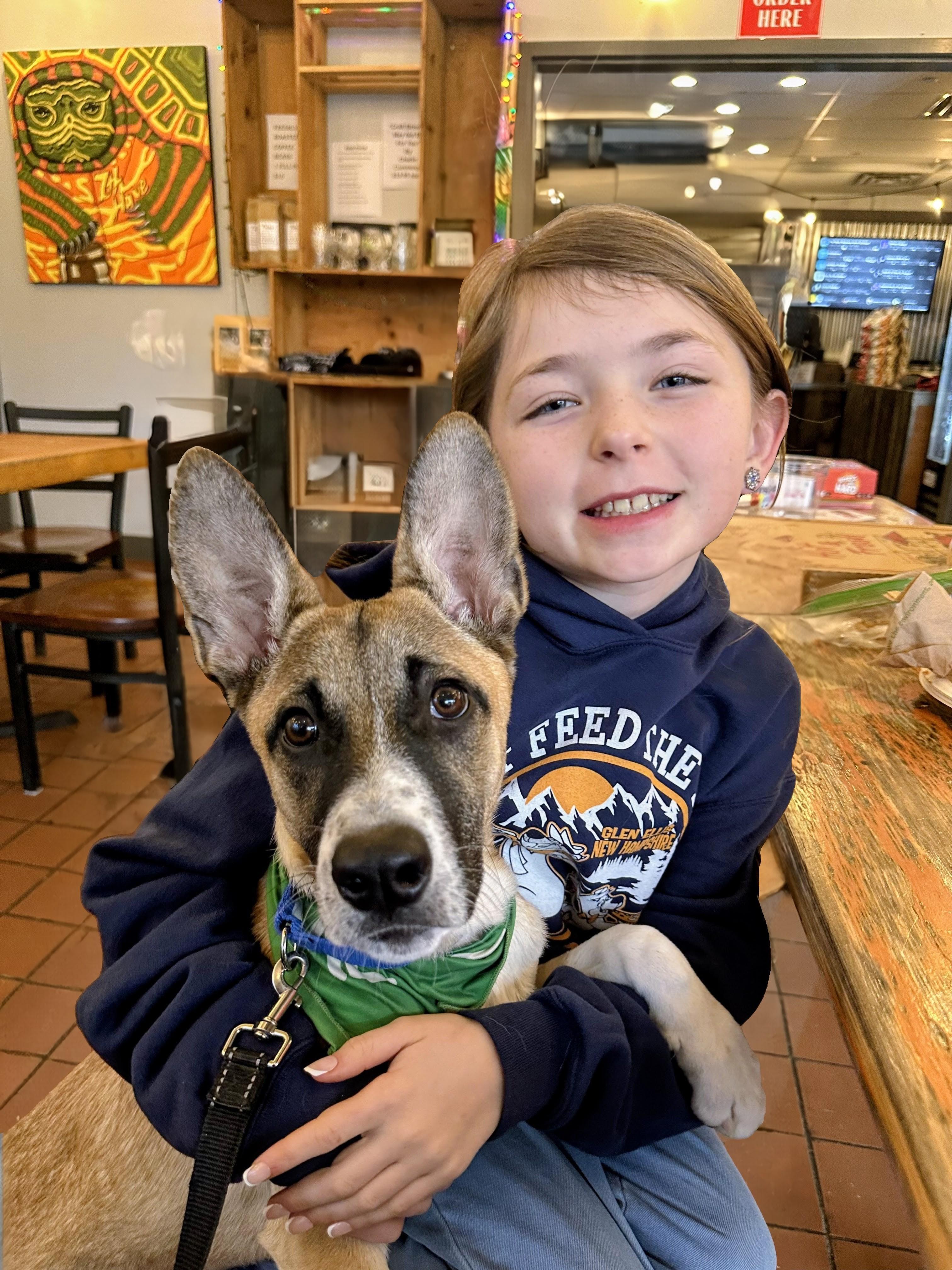 Ryder - Fostered in Mass., a Adoptable mixed breed in Willington, CT image 1/6