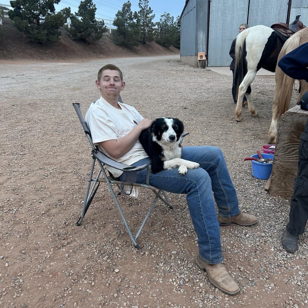 Rey, a Adoptable Border Collie in St. George, UT image 4/5