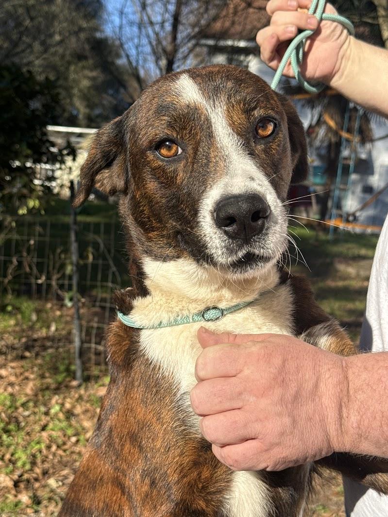 LONDON — thumbnail 3