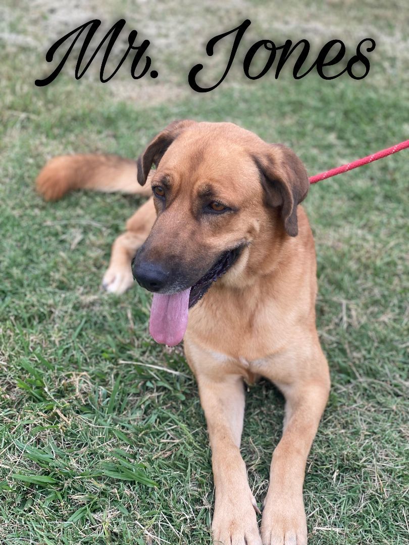 Mr. Jones, Adult Male unknown
