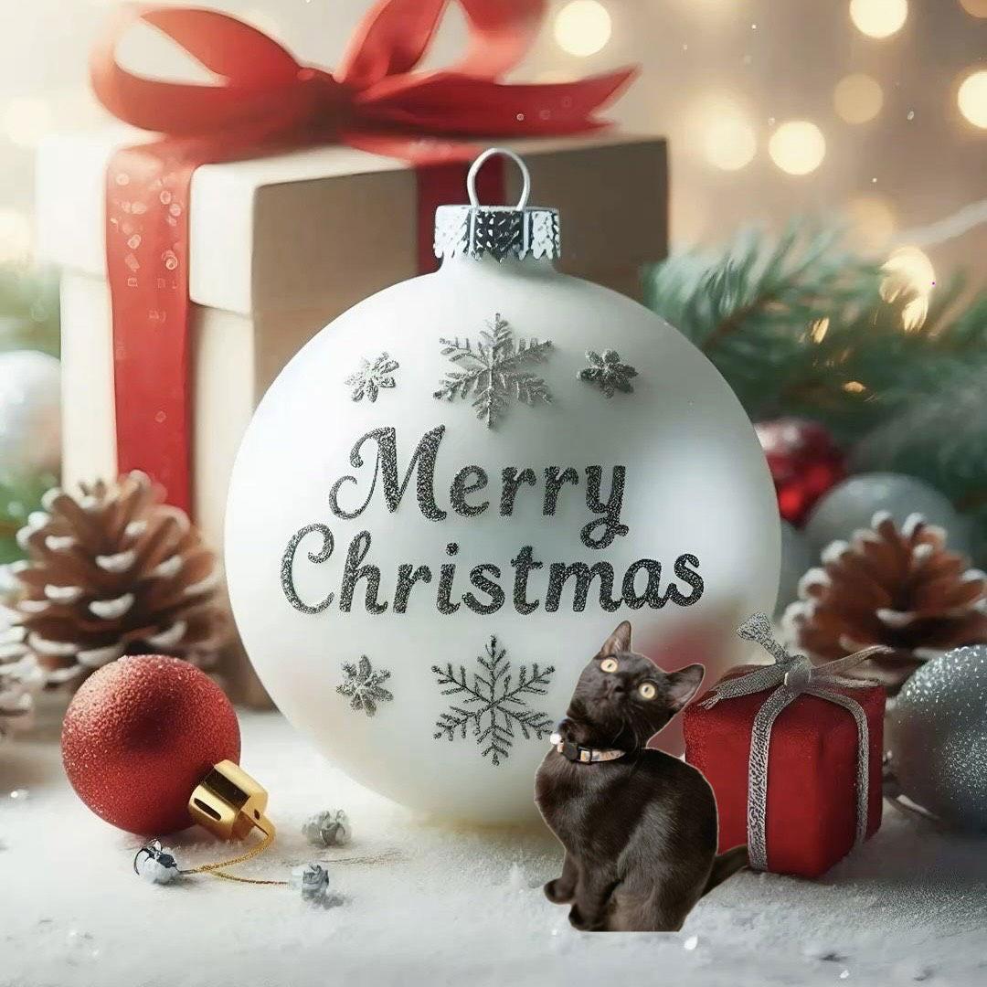 Enlarge Ebony, a Adoptable Domestic Short Hair in Fort Worth, TX image 2/3