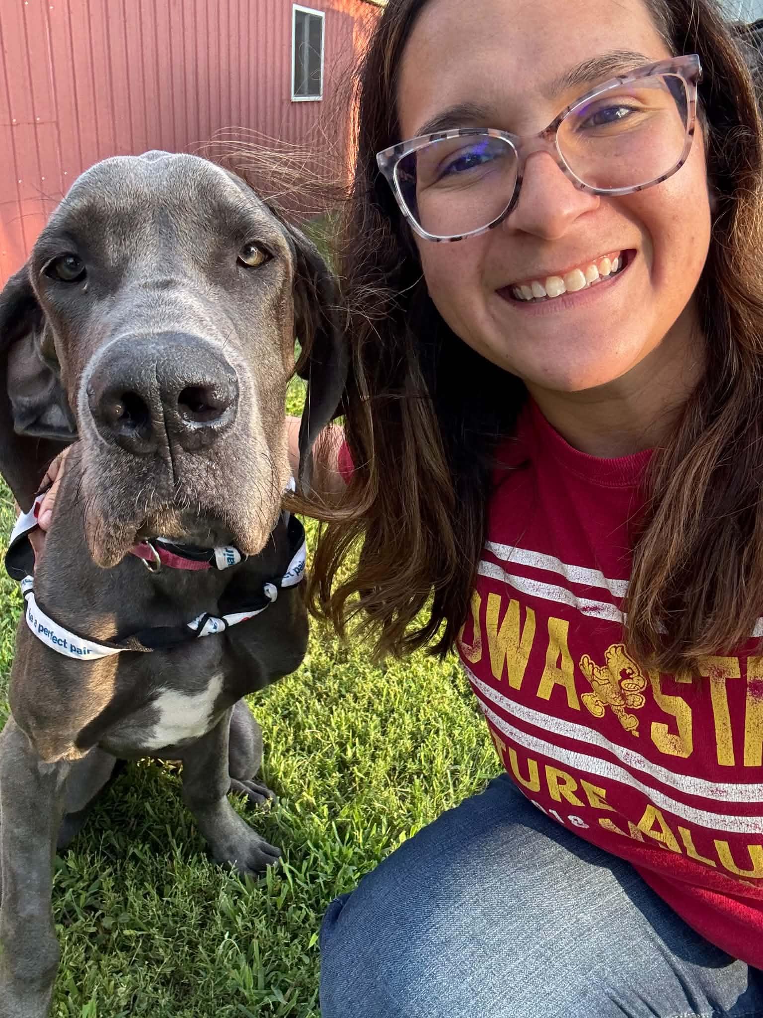 Enlarge Jemma, a ADOPTABLE Great Dane in Creston, IA image 4/4