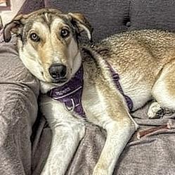 Kalqari (20250224-22) — thumbnail 3