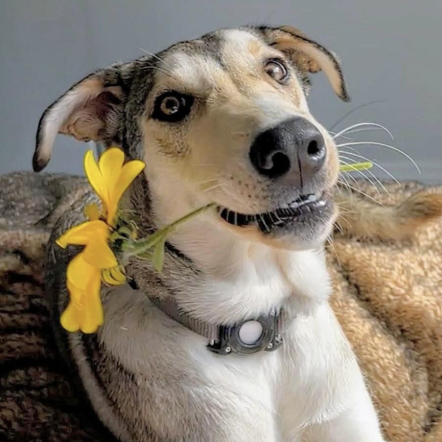 Kalqari (20250224-22) — thumbnail 5