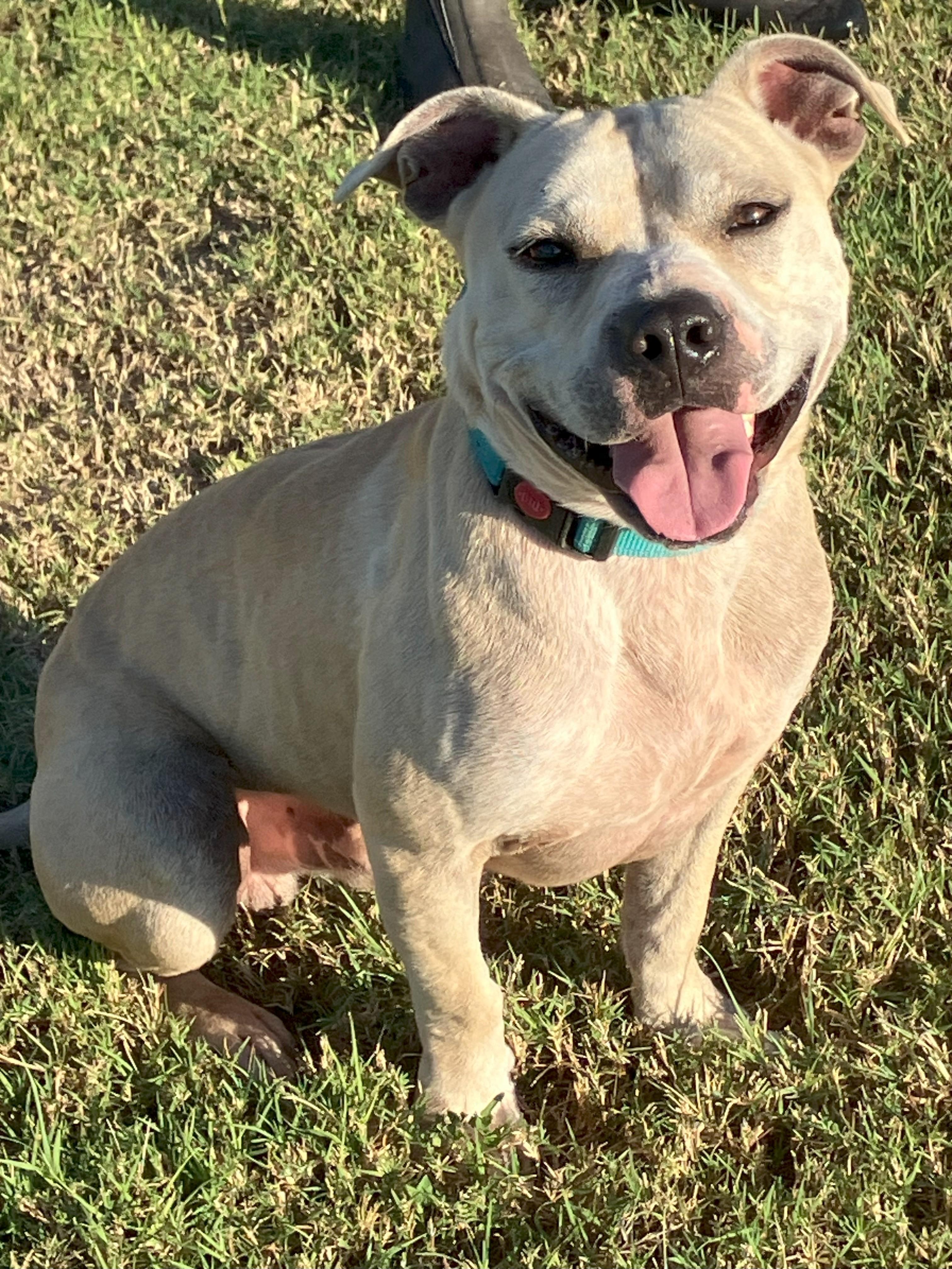 ZACH-Big Loveable Potato