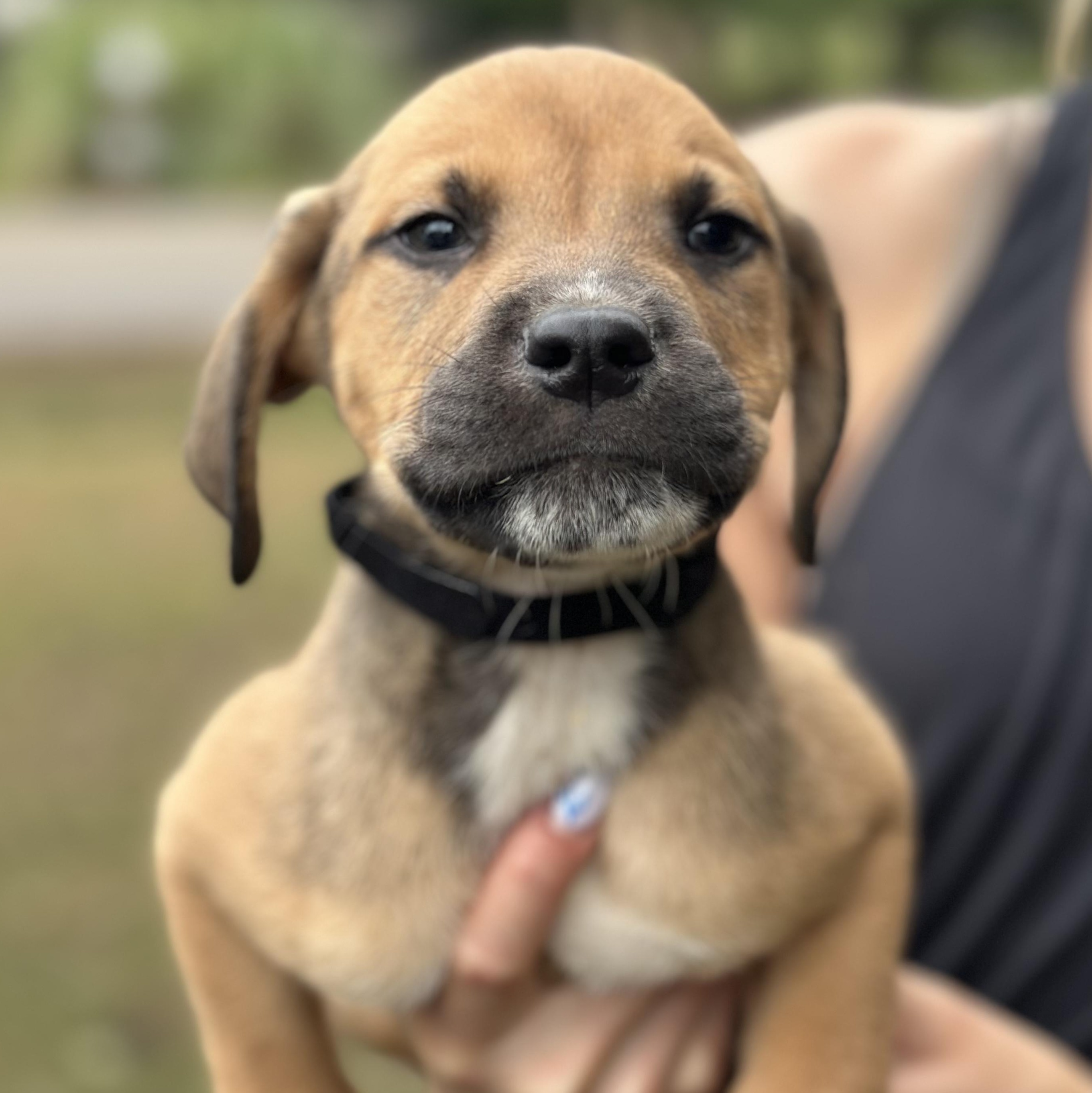 Sebastian