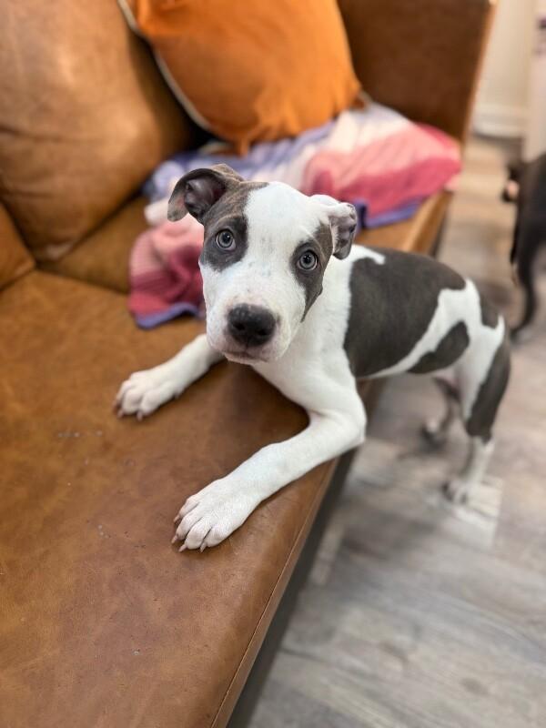 Louise Little Lovebug Wigglebottom — thumbnail 2