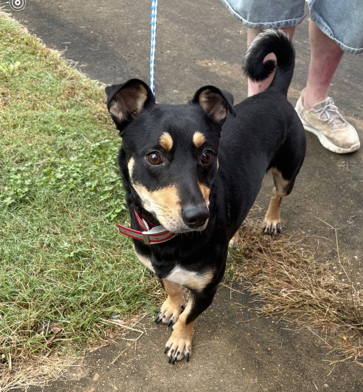 Tyler Hadley thumbnail 2