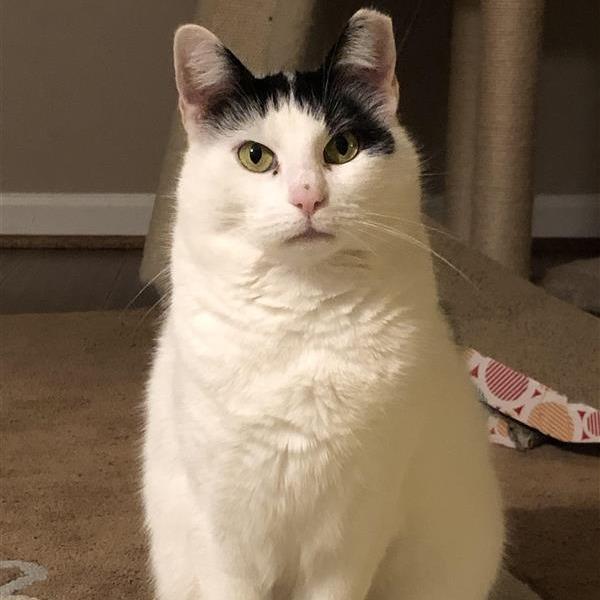 Dottie D — thumbnail 2