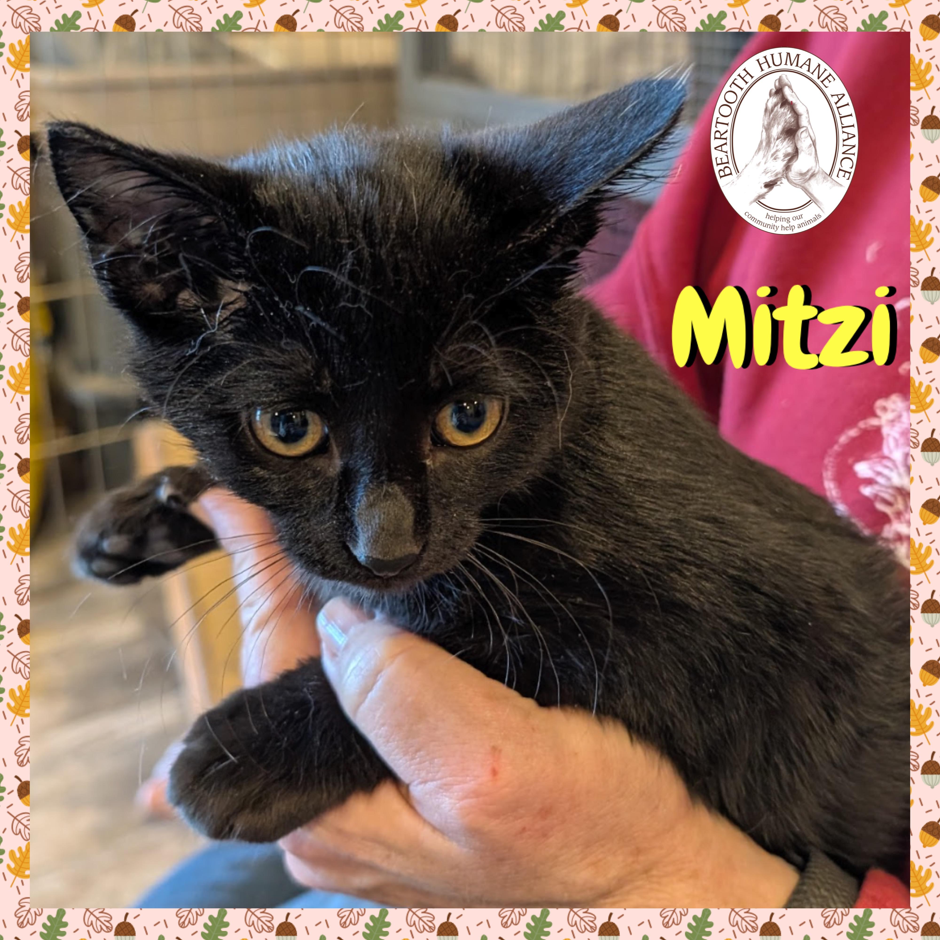 Mitzi