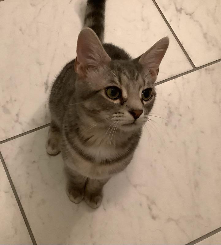 John Oates — thumbnail 2