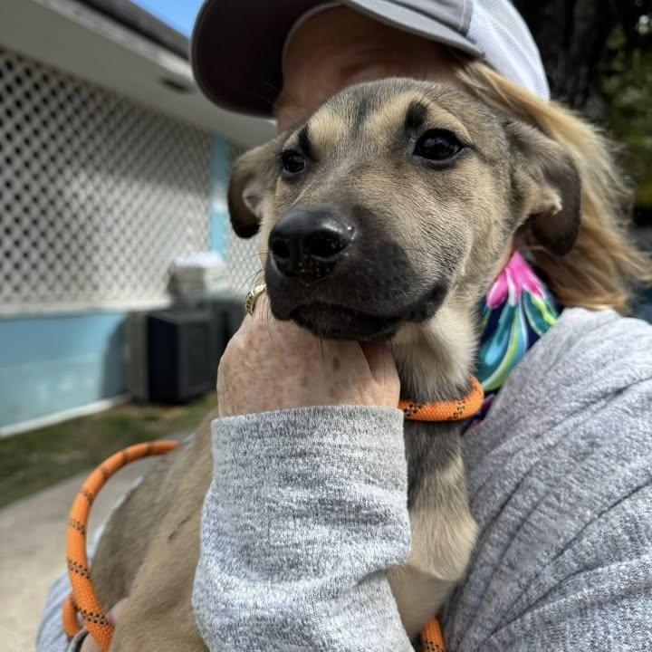 Aphrodite aka Tilly (20260201-08)