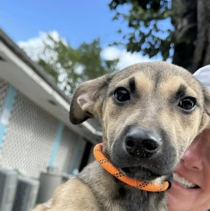 Aphrodite aka Tilly (20260201-08) — thumbnail 2