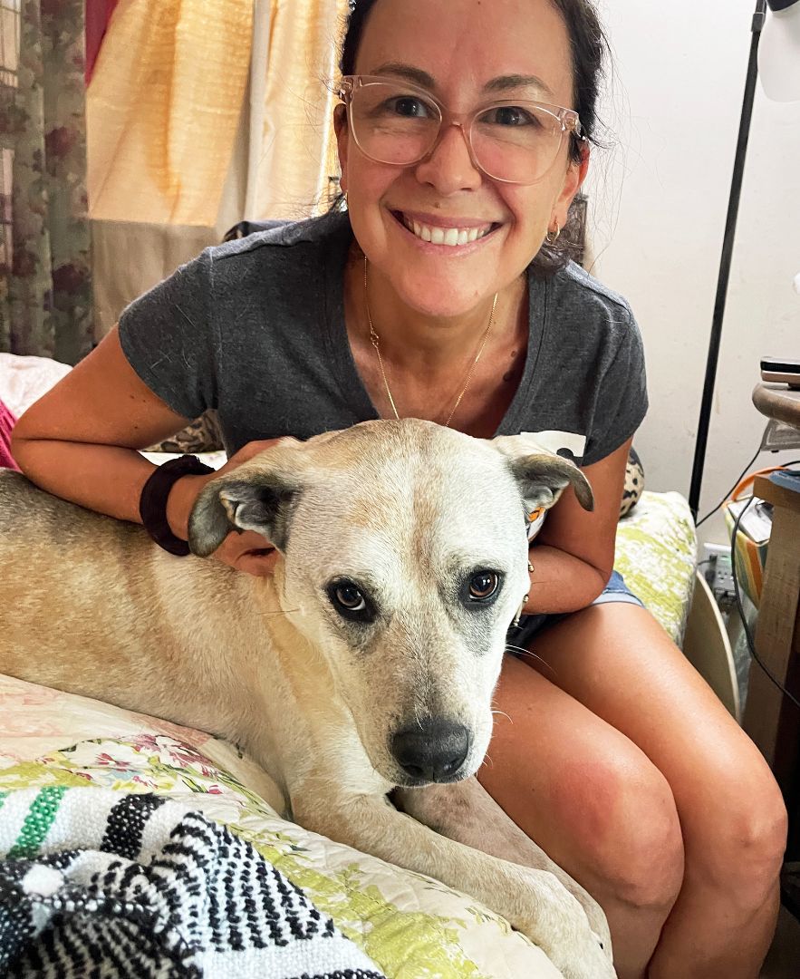 Rosie, a Adoptable mixed breed in Nashville, TN image 3/6