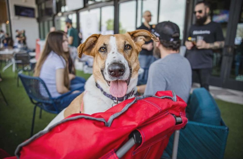 Layla Clapton — thumbnail 2