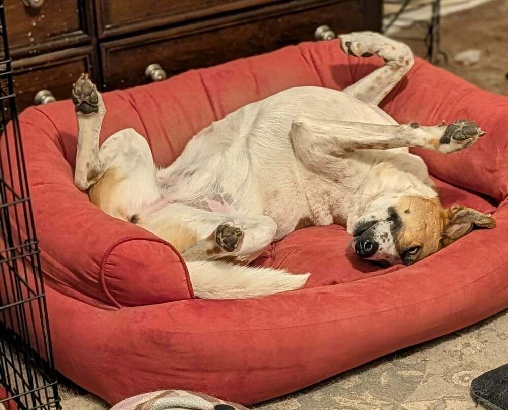 Layla Clapton — thumbnail 5