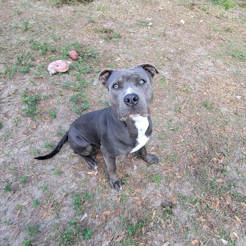 Cranberry thumbnail 3