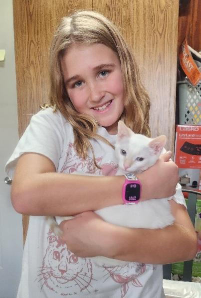 Malina Loves to perch on a shoulder, Adoptable, Young Female Siamese & Domestic Short Hair.