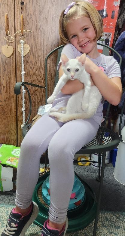 Enlarge Malina Loves to perch on a shoulder, a Adoptable mixed breed in Fayetteville, AR image 6/6