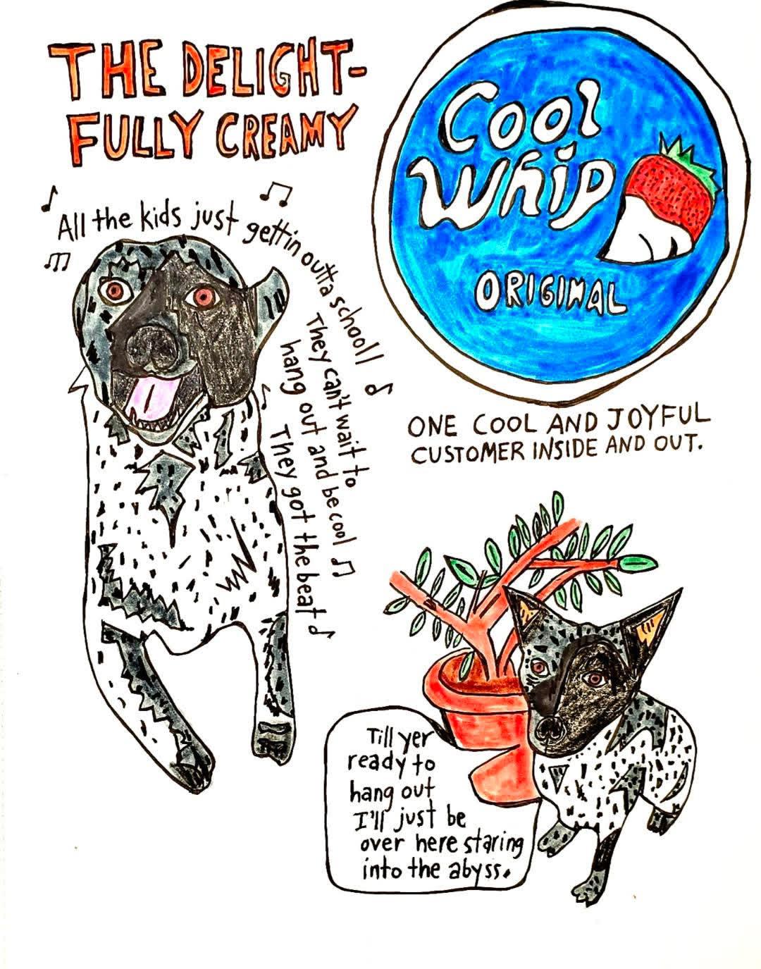 Enlarge Cool Whip, a Adoptable Australian Cattle Dog / Blue Heeler in Evans City, PA image 6/6