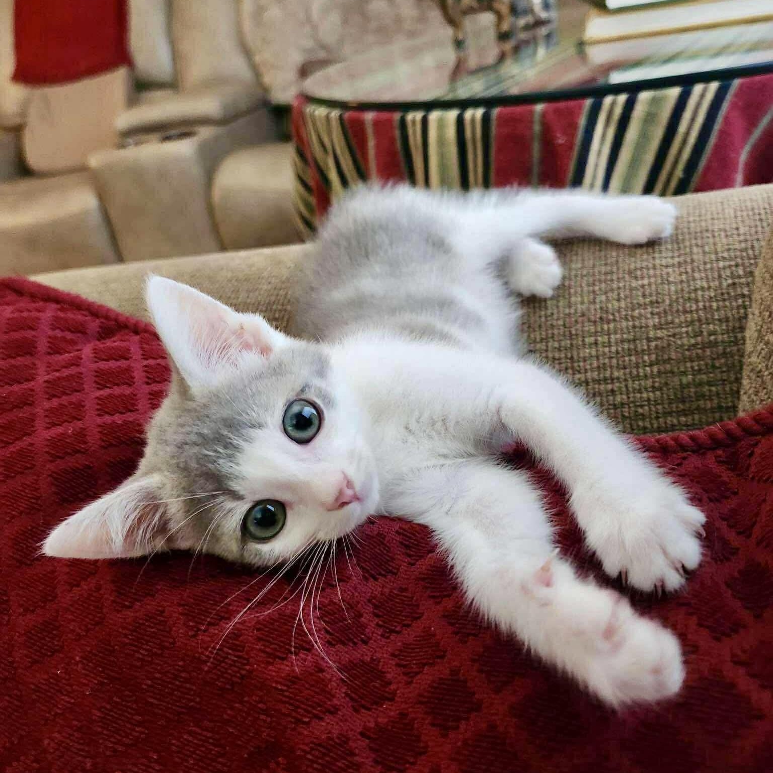 Lucy