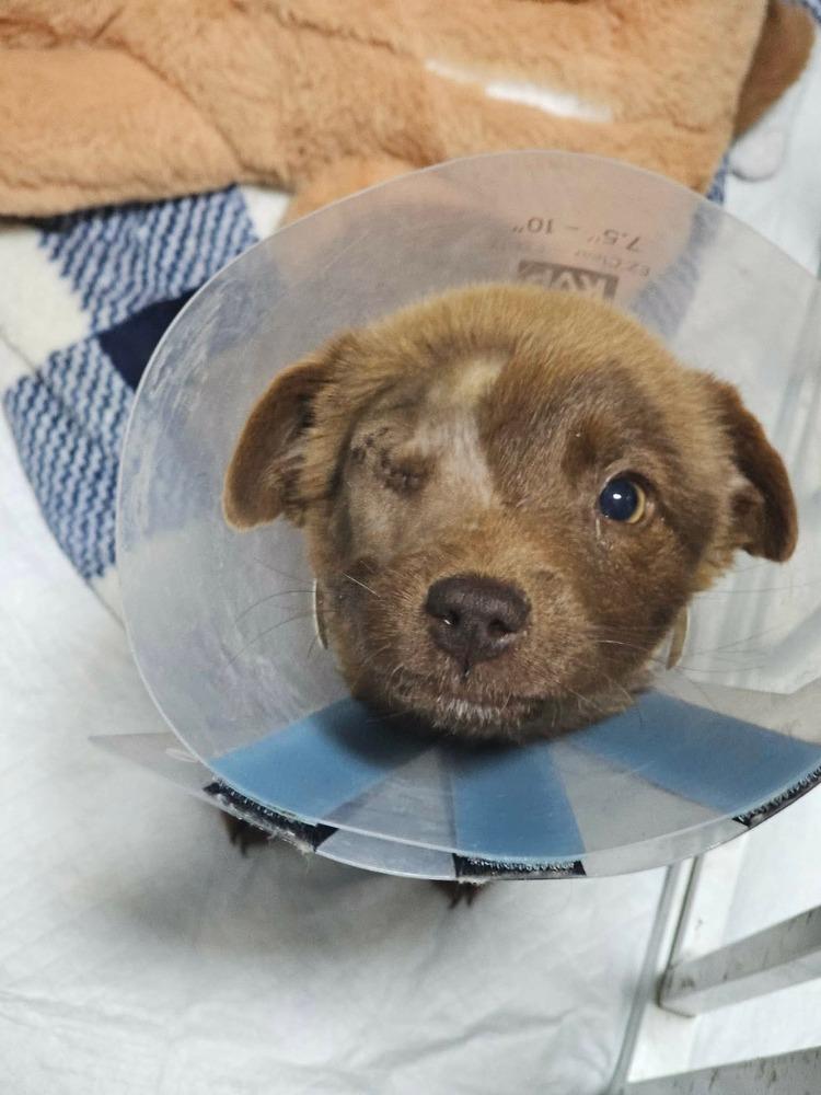 Osito — thumbnail 5