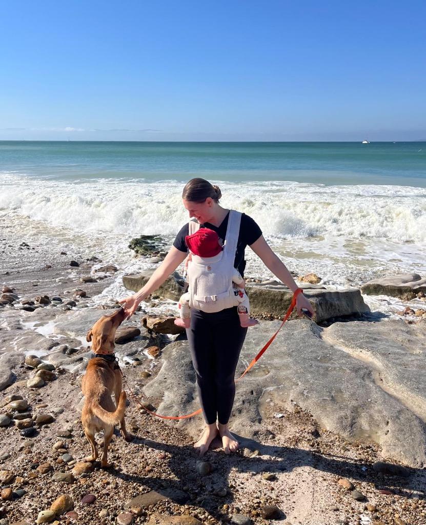 Kan, a Adoptable mixed breed in San Jose, CA image 4/5