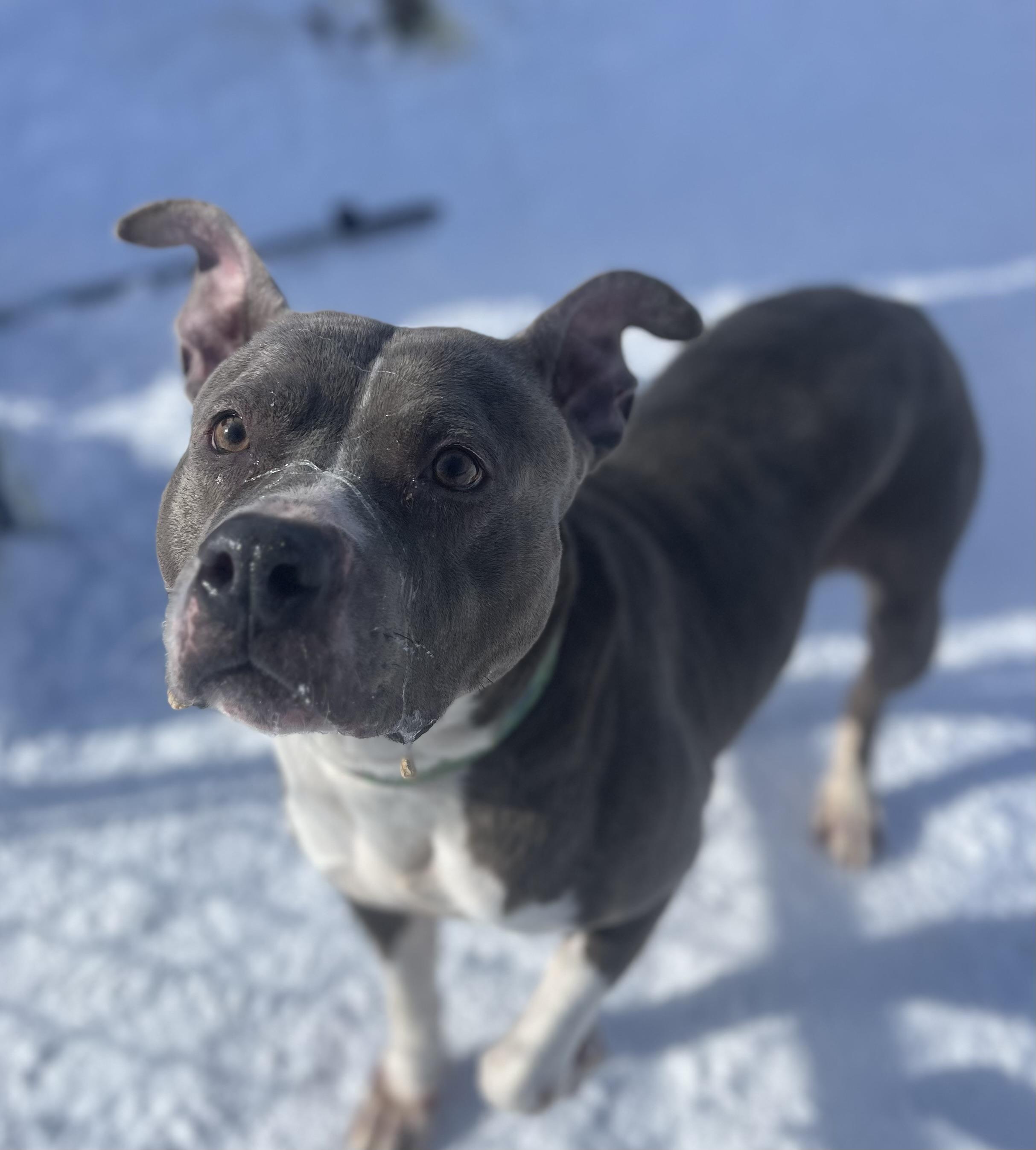 Jenny Jigsaw — thumbnail 2