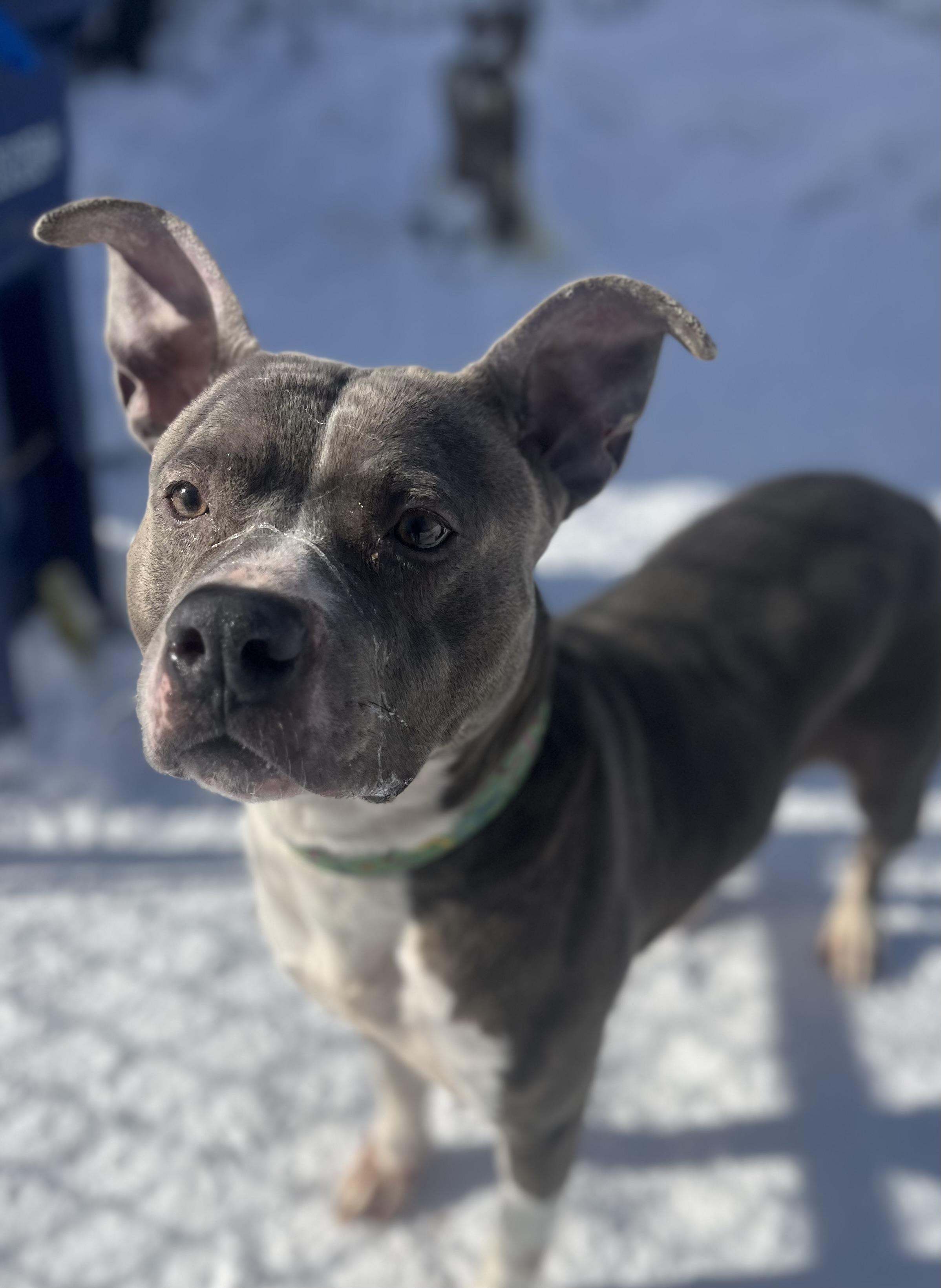 Jenny Jigsaw — thumbnail 3