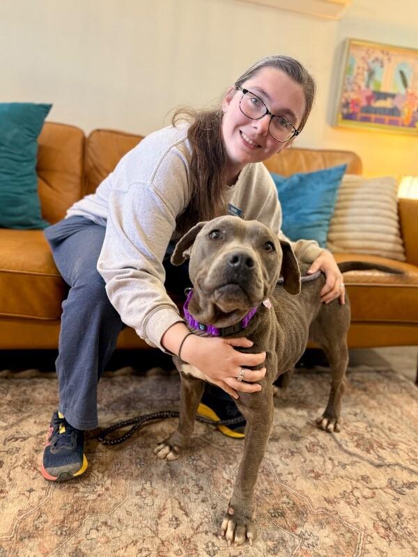 Mildred Blue Ribbon Belle