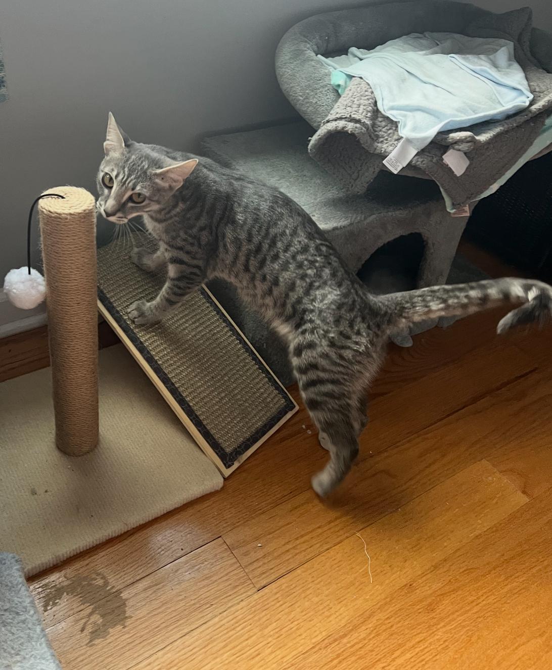 Luna