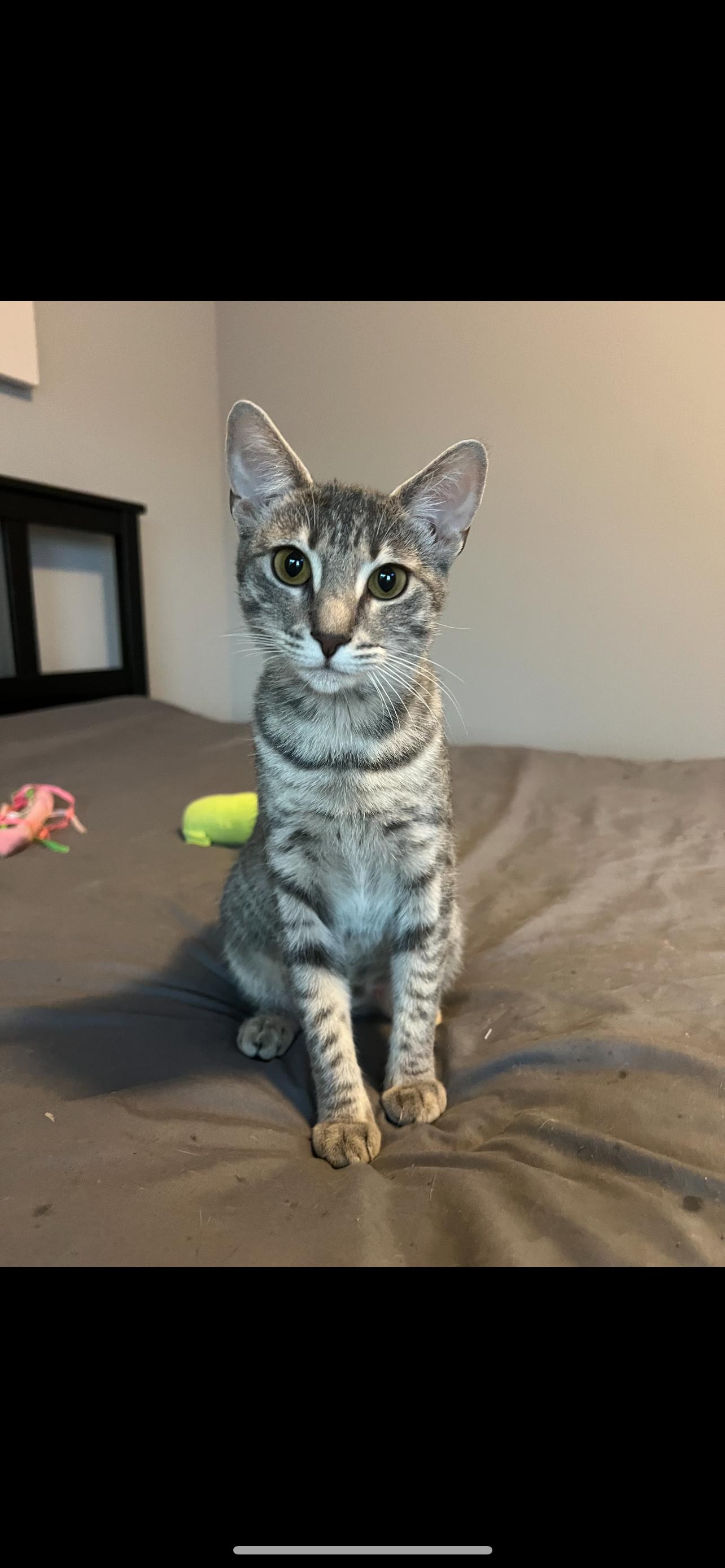 Luna