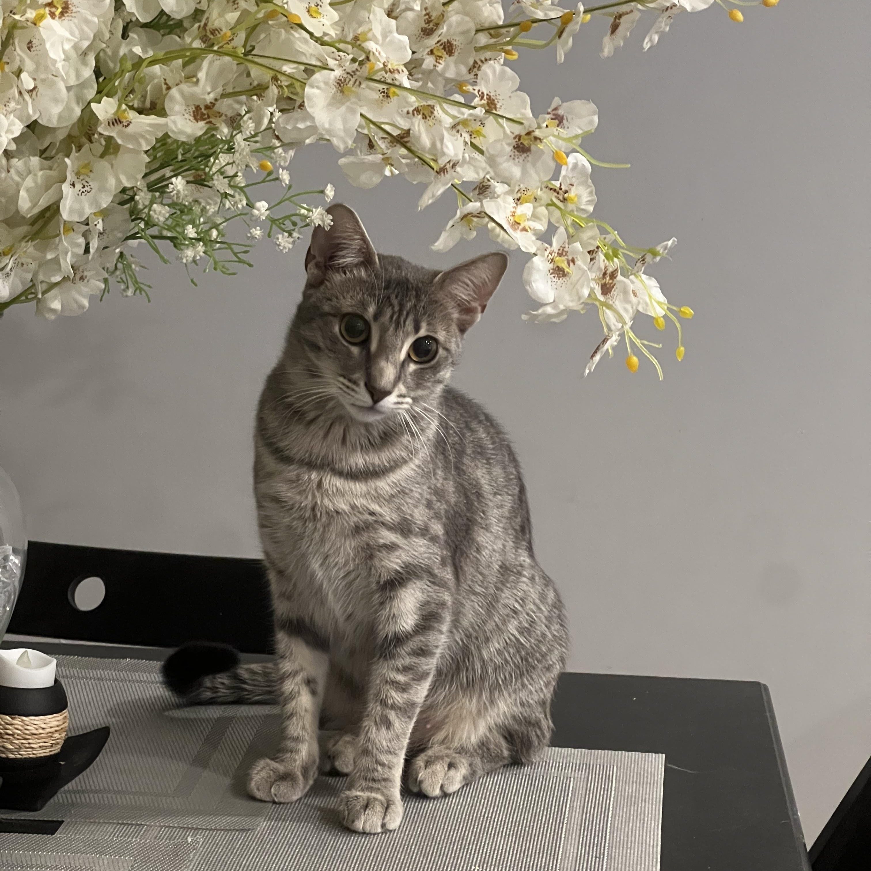Luna