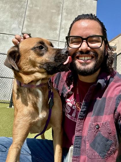 Enlarge Rosie, a Adoptable mixed breed in Wichita, KS image 3/3