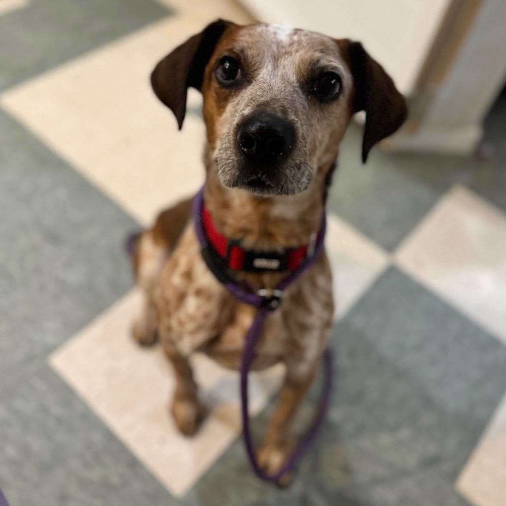 Hugo — thumbnail 5