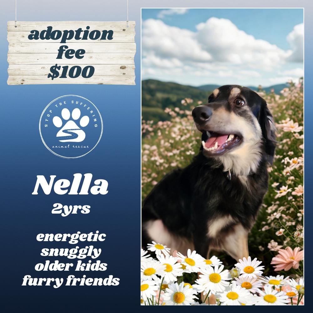 Enlarge Nella(FNA Helena), a Adoptable mixed breed in Columbus, OH image 4/6