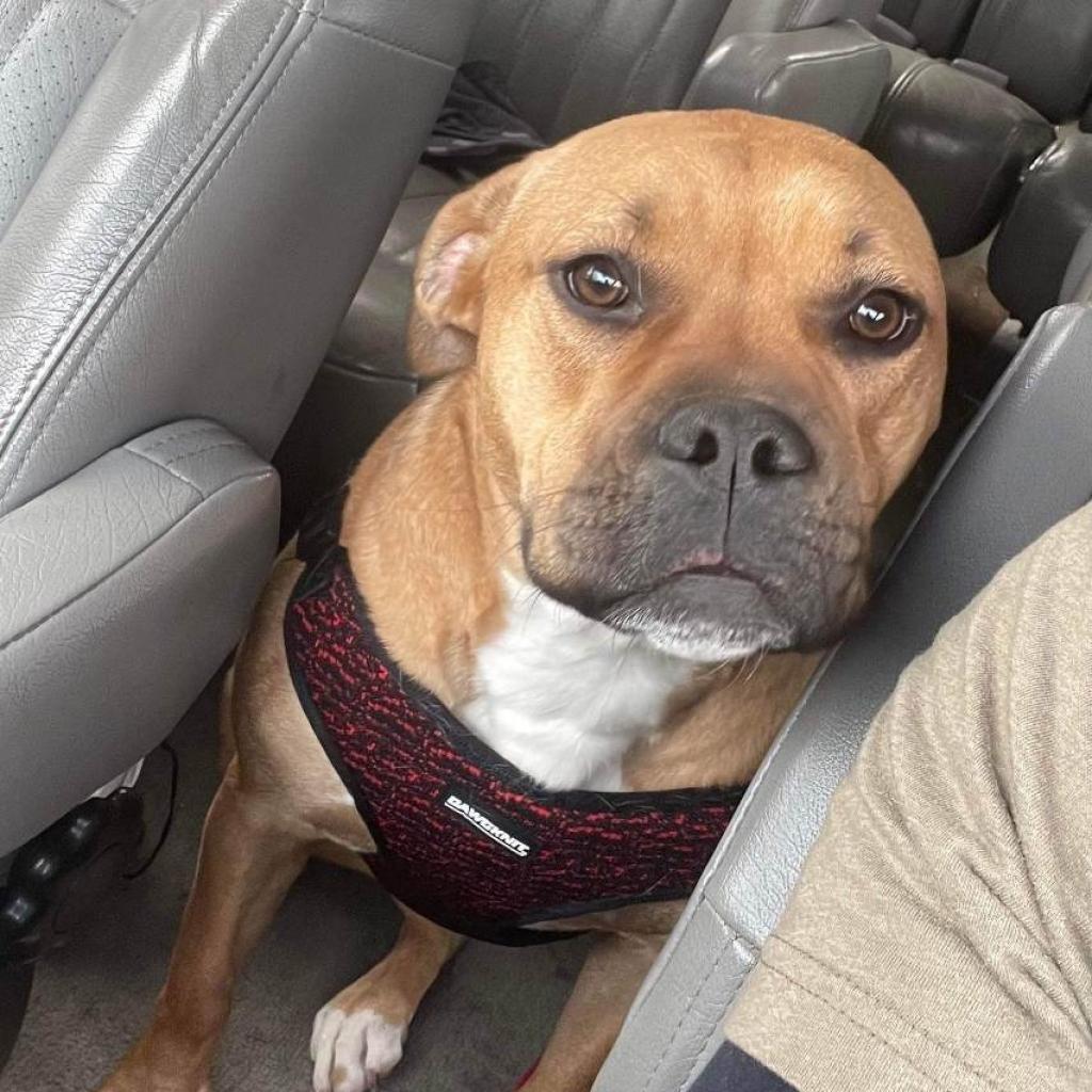 Birgitte — thumbnail 4